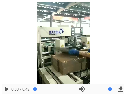 雙片-四伺服釘箱機